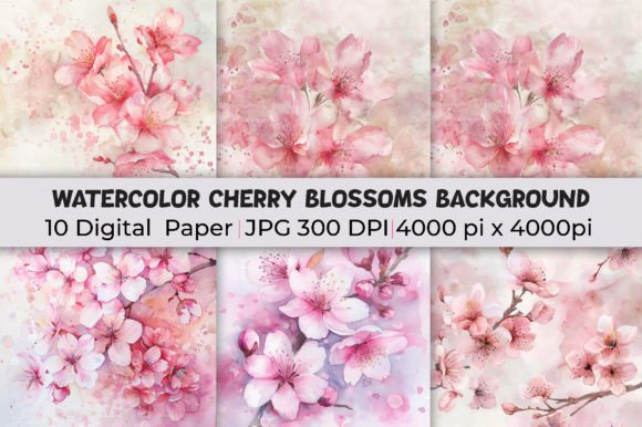 Elevate Your Work with Watercolor Cherry Blossoms Backgrounds